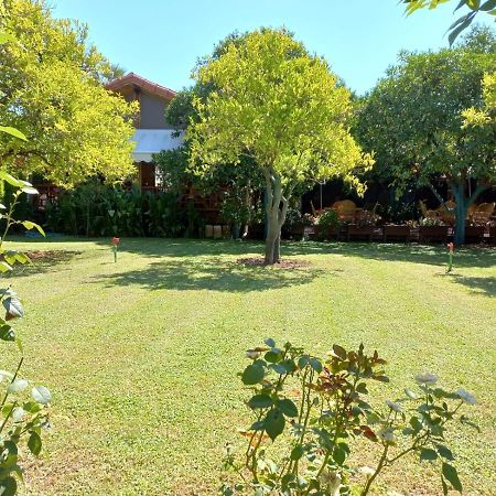 Bahce Villa Çıralı Buitenkant foto