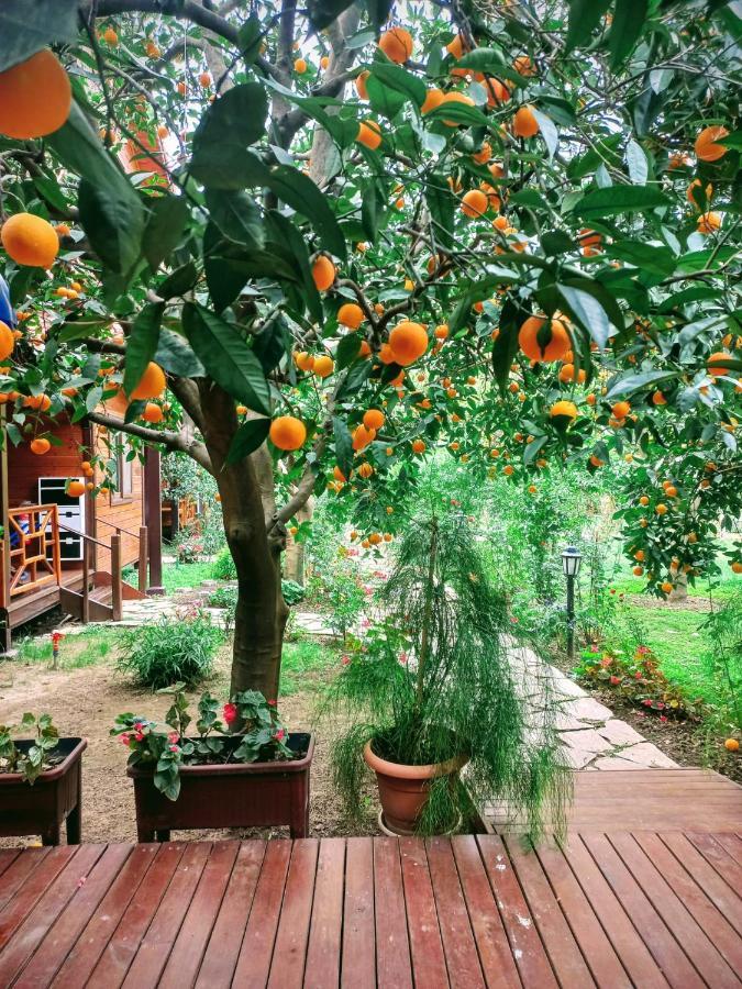Bahce Villa Çıralı Buitenkant foto