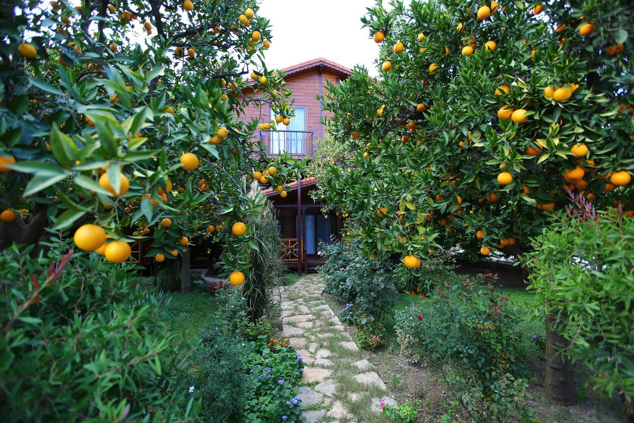 Bahce Villa Çıralı Buitenkant foto