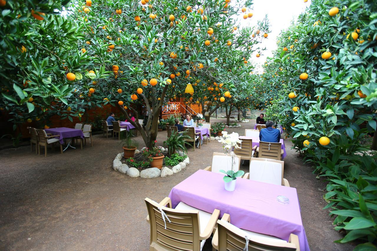 Bahce Villa Çıralı Buitenkant foto