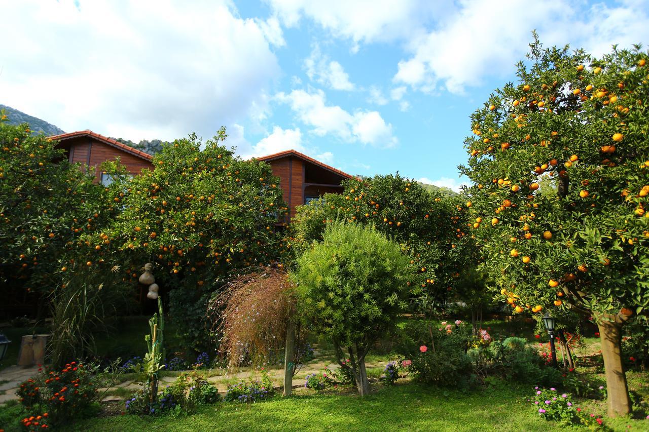 Bahce Villa Çıralı Buitenkant foto